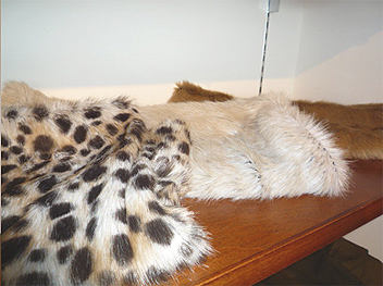 Laxmi
�t�F�C�N�t�@�[�E�H�[�}�[