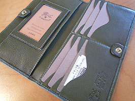 IL BIZONTE
���T�C�t