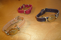 IL BIZONTE
�u���X���b�g