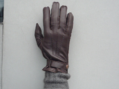 ���U�[�O���[�u�iBur field�j
�r�v�i���j