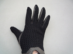 ���U�[�O���[�u�iBur field�j
�r�v�~�j�b�g