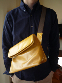 aniary�@���b�Z���W���[�o�b�O�i�}�X�^�[�h�j