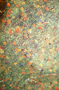 Honnete�i���o�e�B�v�����g�h���X/�O���[���F�ԕ��j