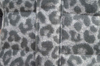 TATRAS�i���I�p�[�h�_�E�����F�X�g�F�^���j